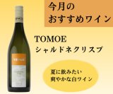 今月のおすすめワインのご案内【6月】