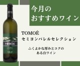 今月のおすすめワインのご案内【9月】