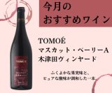 今月のおすすめワインのご案内【10月】