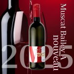 画像2: 三次ヌーボー　マスカット・ベーリーA (2)