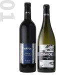 画像1: SP-1　TOMOÉ小公子 マスカット・ベーリーA/TOMOÉピノ・ノワール白夜 (1)