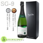 画像1: SG-9　VILLAQUAグリーン(進物箱入り) (1)