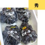 画像1: 〜黒い真珠〜三次ピオーネぶどう／秀４房（ハウスもの） (1)