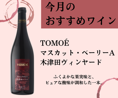 今月のおすすめワインのご案内【10月】